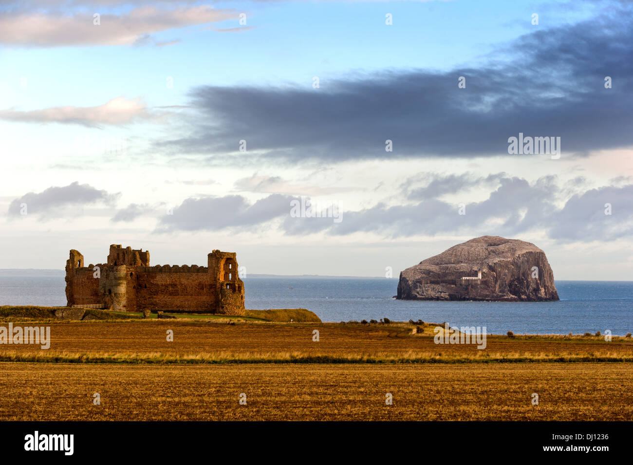Tantallon Castle & Bass Rock, Schottland, UK Stockfoto