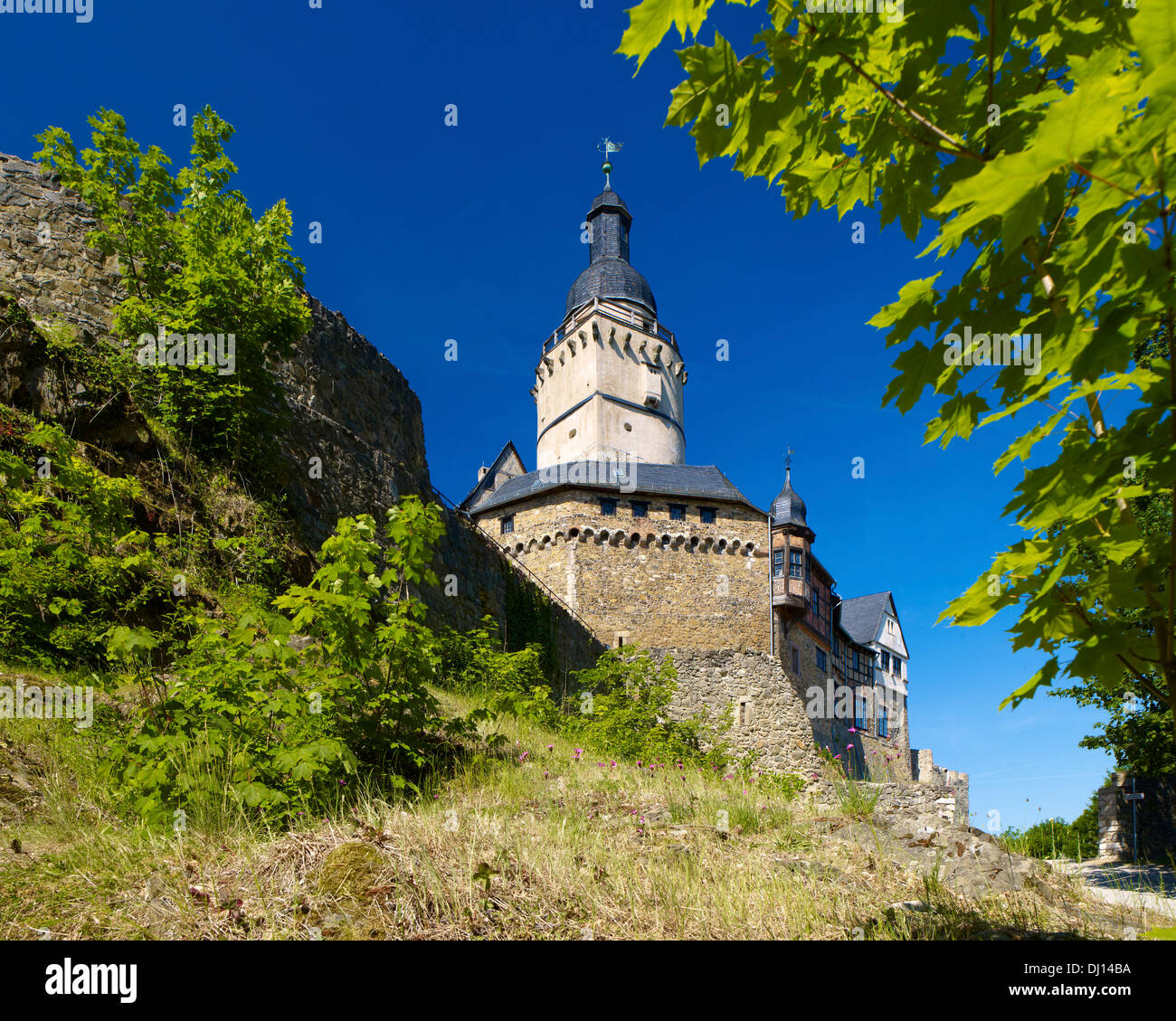 Burg Falkenstein, Falkenstein/Harz, Sachsen-Anhalt, Deutschland Stockfoto