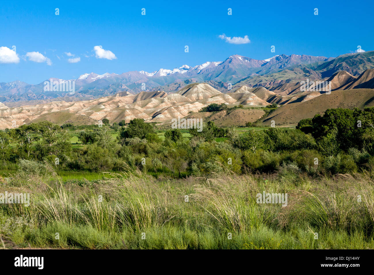 Malerische Aussicht des Tien Shan Gebirges Stockfoto