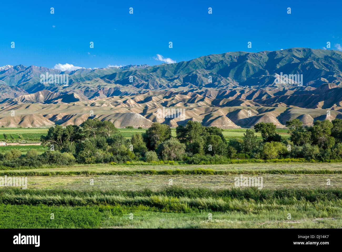 Kahle Berge in Kirgisistan Stockfoto