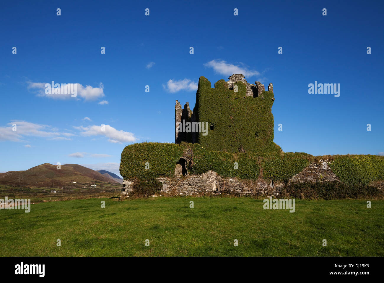 Ballycarberry Burg, die etwa aus dem 16. Jahrhundert, in der Nähe von Caherciveen, Ring of Kerry, County Kerry, Irland Stockfoto
