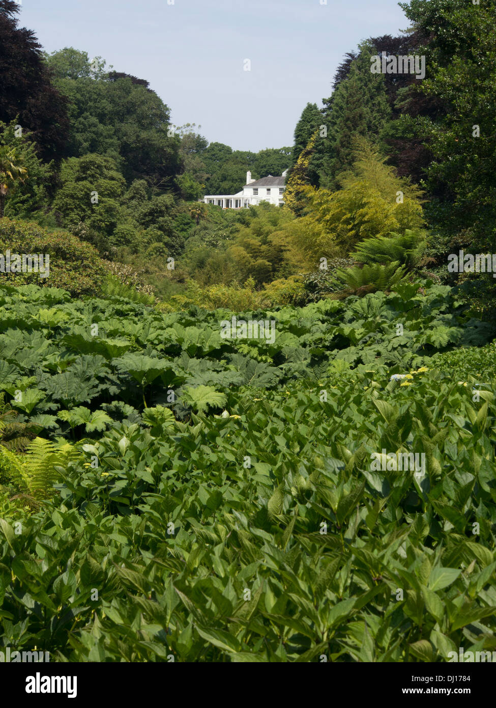 Kornische Garten Stockfoto