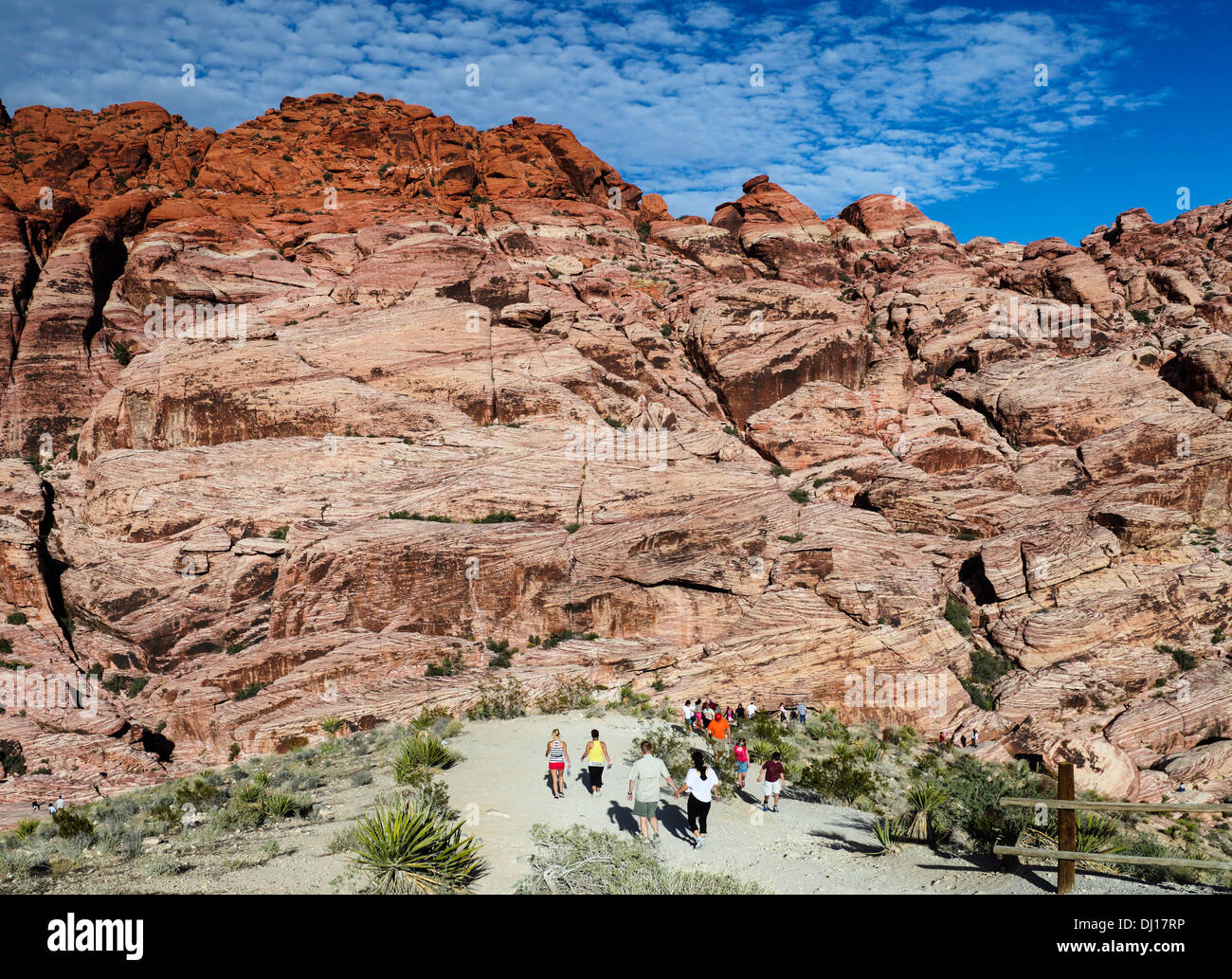Red Rock Canyon National Conservation Area, die ungefähr 20 Meilen von Las Vegas Besucher erkunden Stockfoto