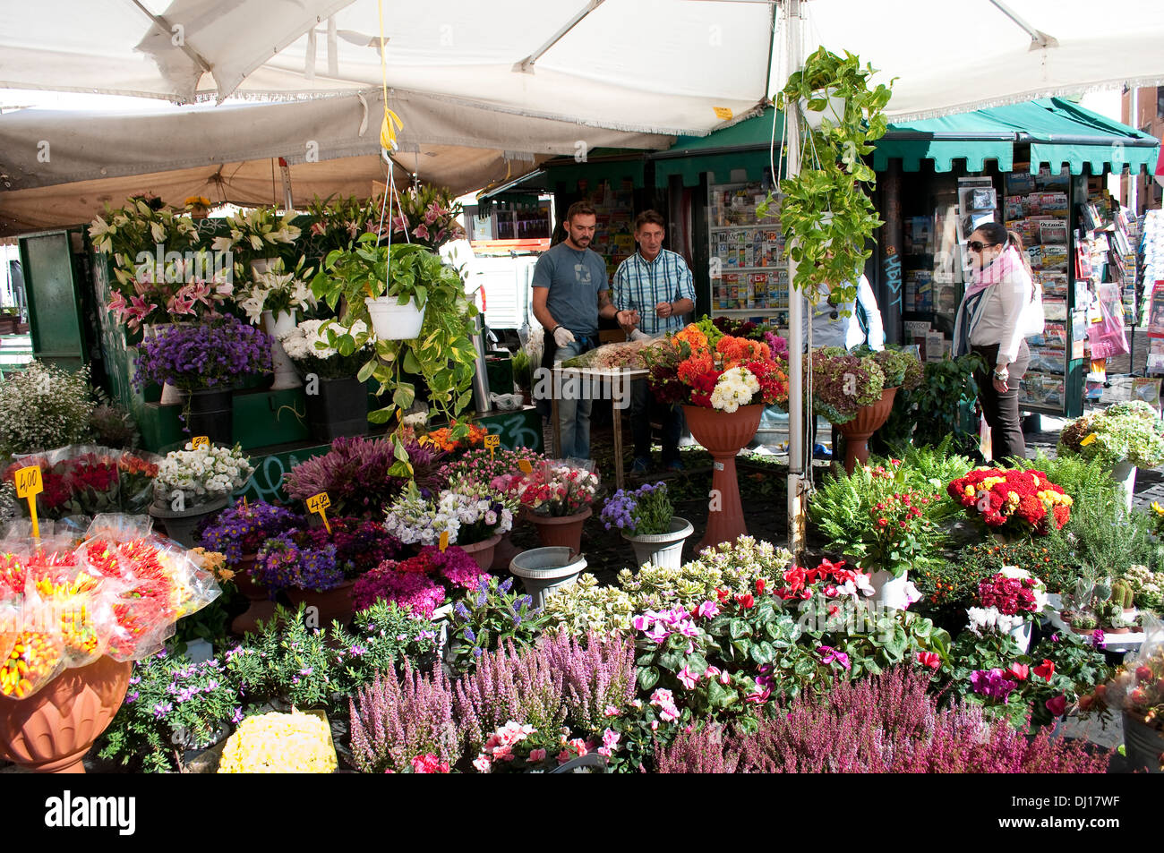 Blumenstände, Campo de' Fiori Markt, Rom, Italien Stockfoto