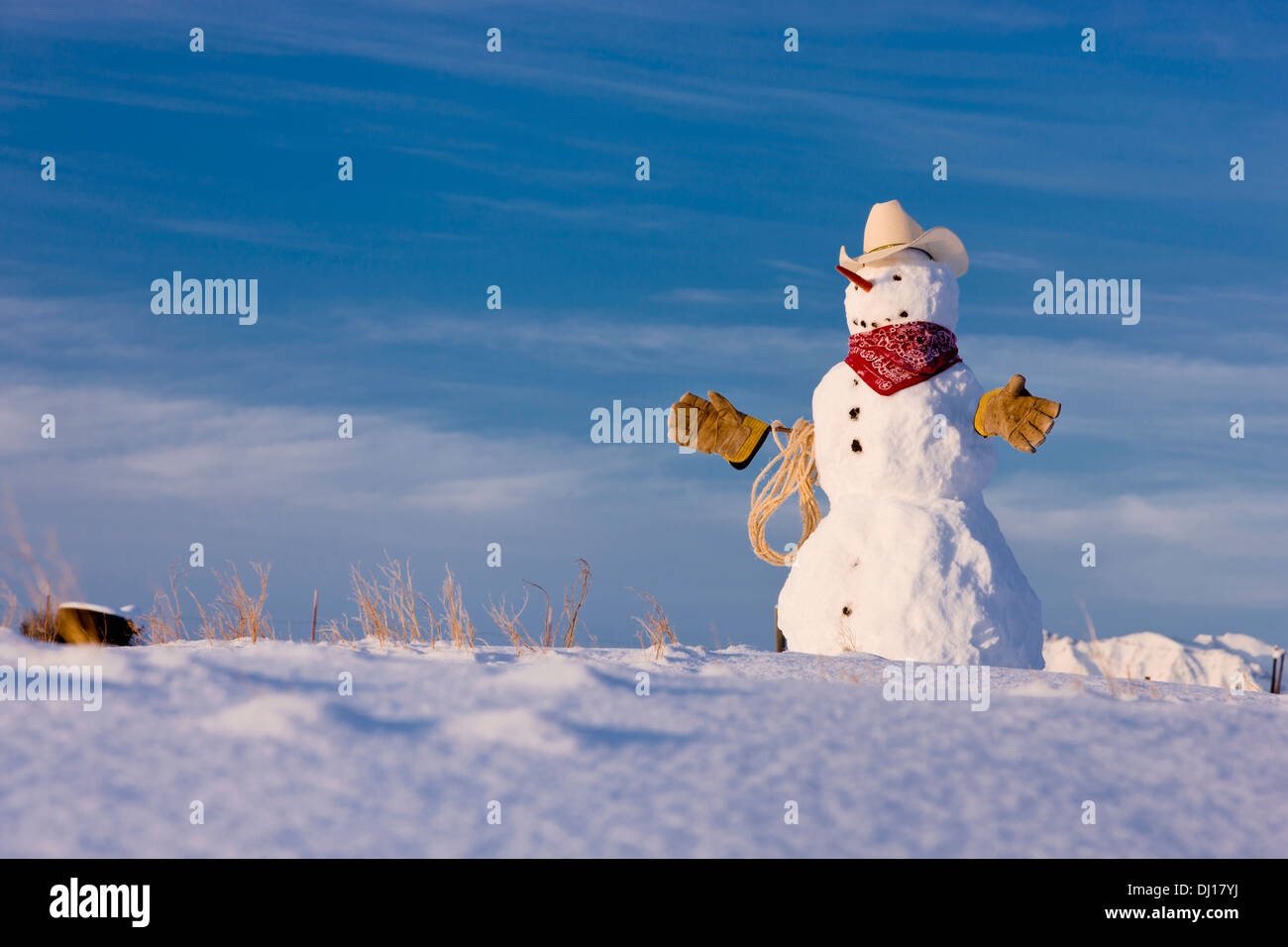 Schneemann verkleidet als Cowboy einen Cowboy-Hut Up rotes Halstuch Arbeitshandschuhe und Seil stehend In einem Feld; Palmer Alaska Usa Stockfoto