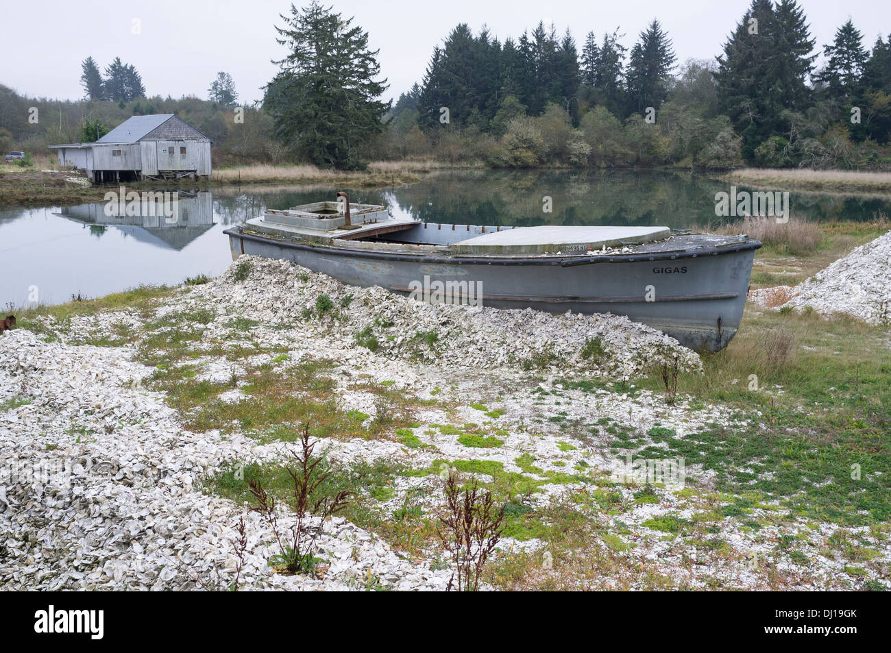 Geerdete Boot in der Nähe von Willapa Bay Bay Center - Pacific County, Washington, USA. Ufer ist bedeckt mit weggeworfenen Austernschalen. Stockfoto