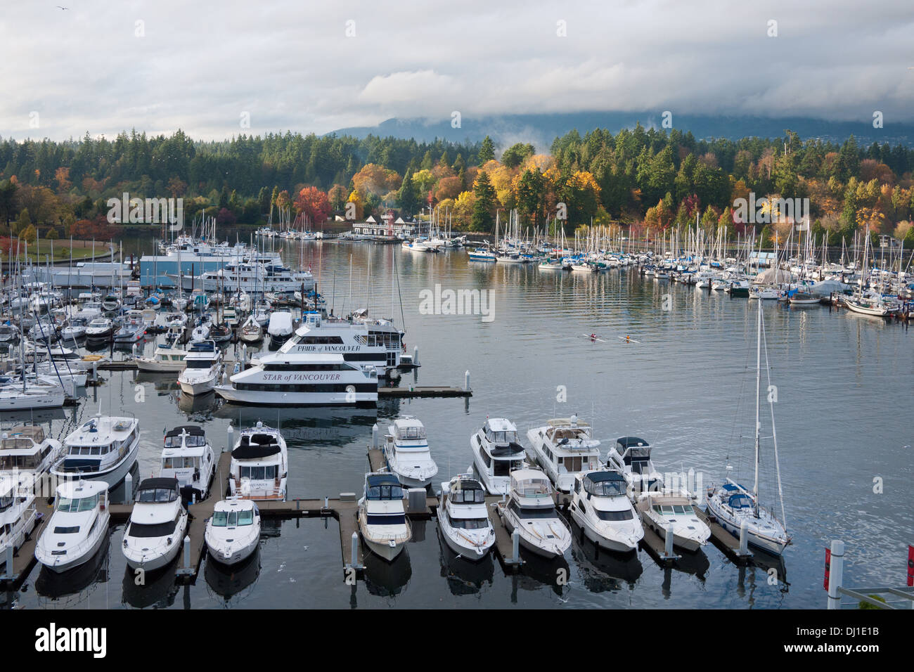 Eine Luftaufnahme der Boote und Marina am Coal Harbour im kanadischen Vancouver, Britisch-Kolumbien.  Der Stanley Park liegt in der Ferne. Stockfoto