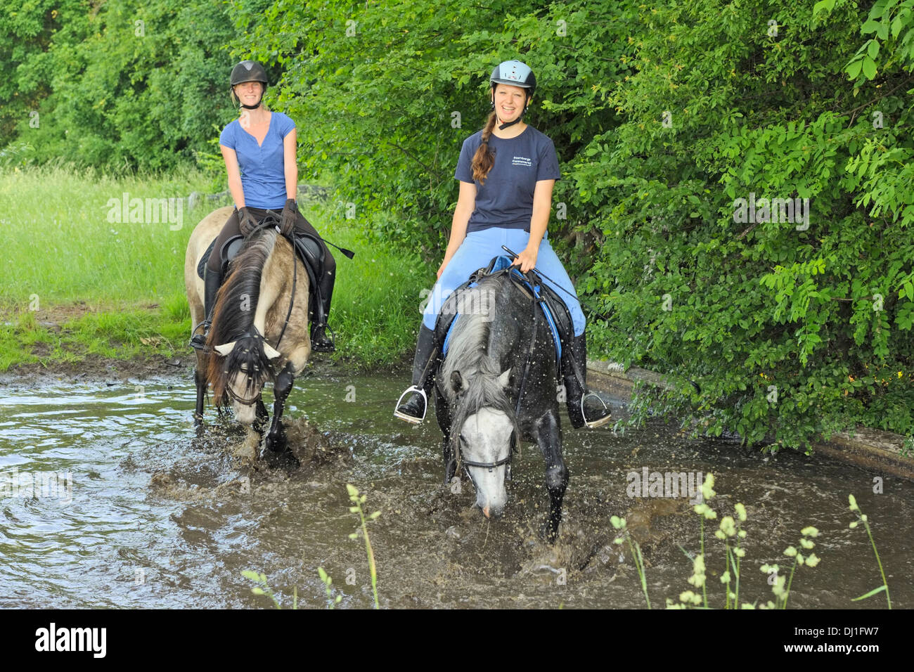 Connemara Pony. Zwei junge Fahrer auf Rückseite Connemara Ponys im Wasser Stockfoto