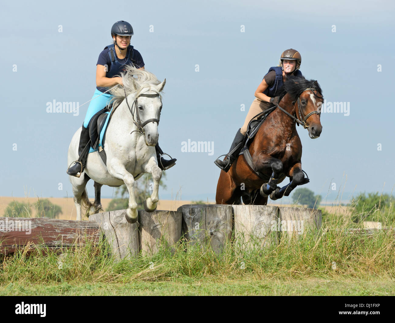 Connemara Pony. Zwei Mädchen gleichzeitig über einen Zaun springen Stockfoto