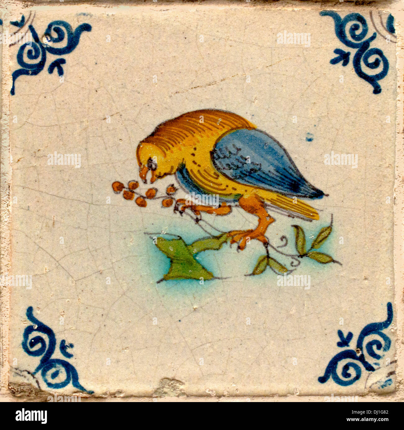 Vogel Vögel 1620-1650 holländischen Fliesen Fliesen Niederlande Holland Museum Stockfoto
