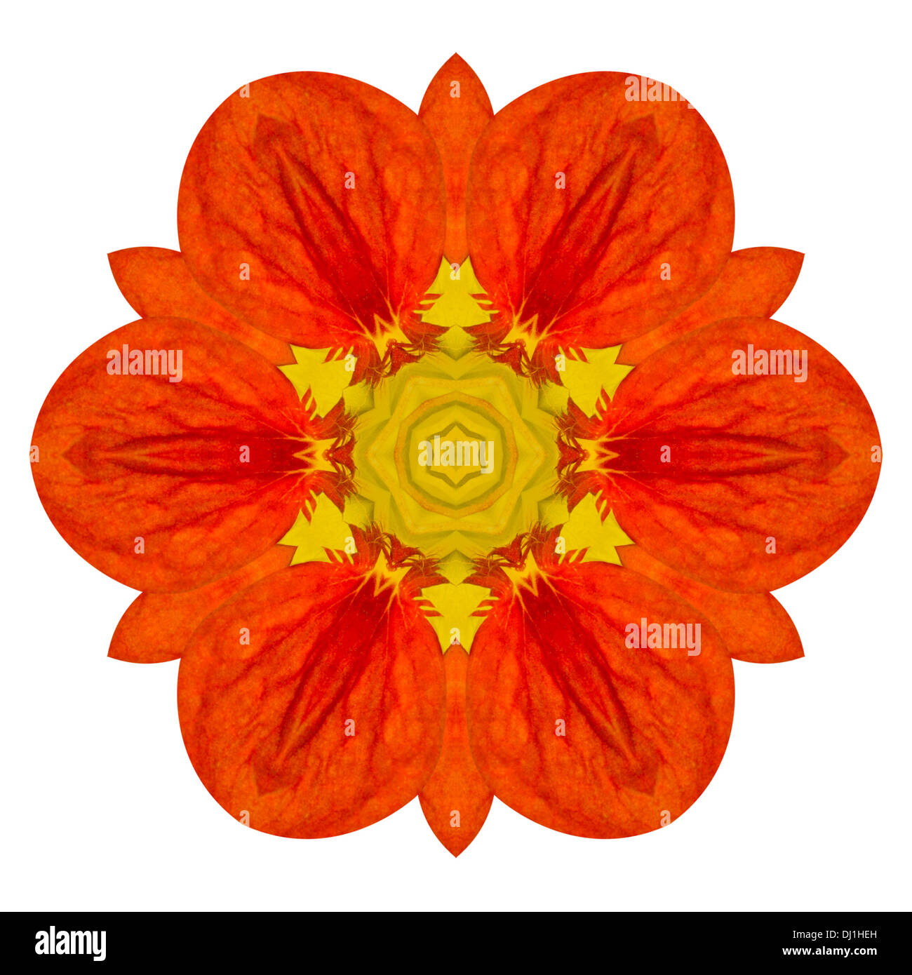 Orange Mandala Blume kaleidoskopischen Isolated on White Background Stockfoto