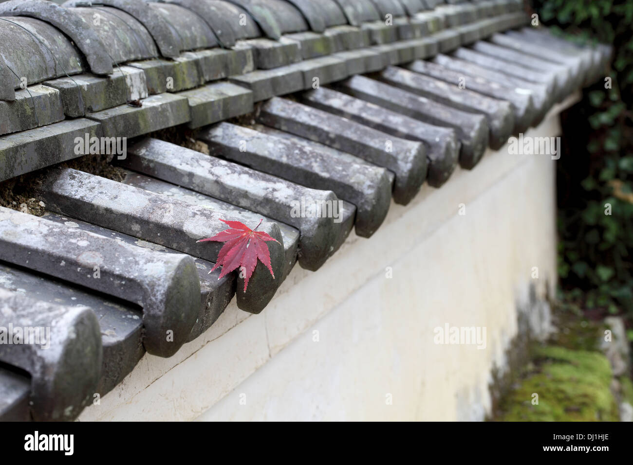 weiße Wand des japanischen Schrein oder Tempel Wand Stockfoto