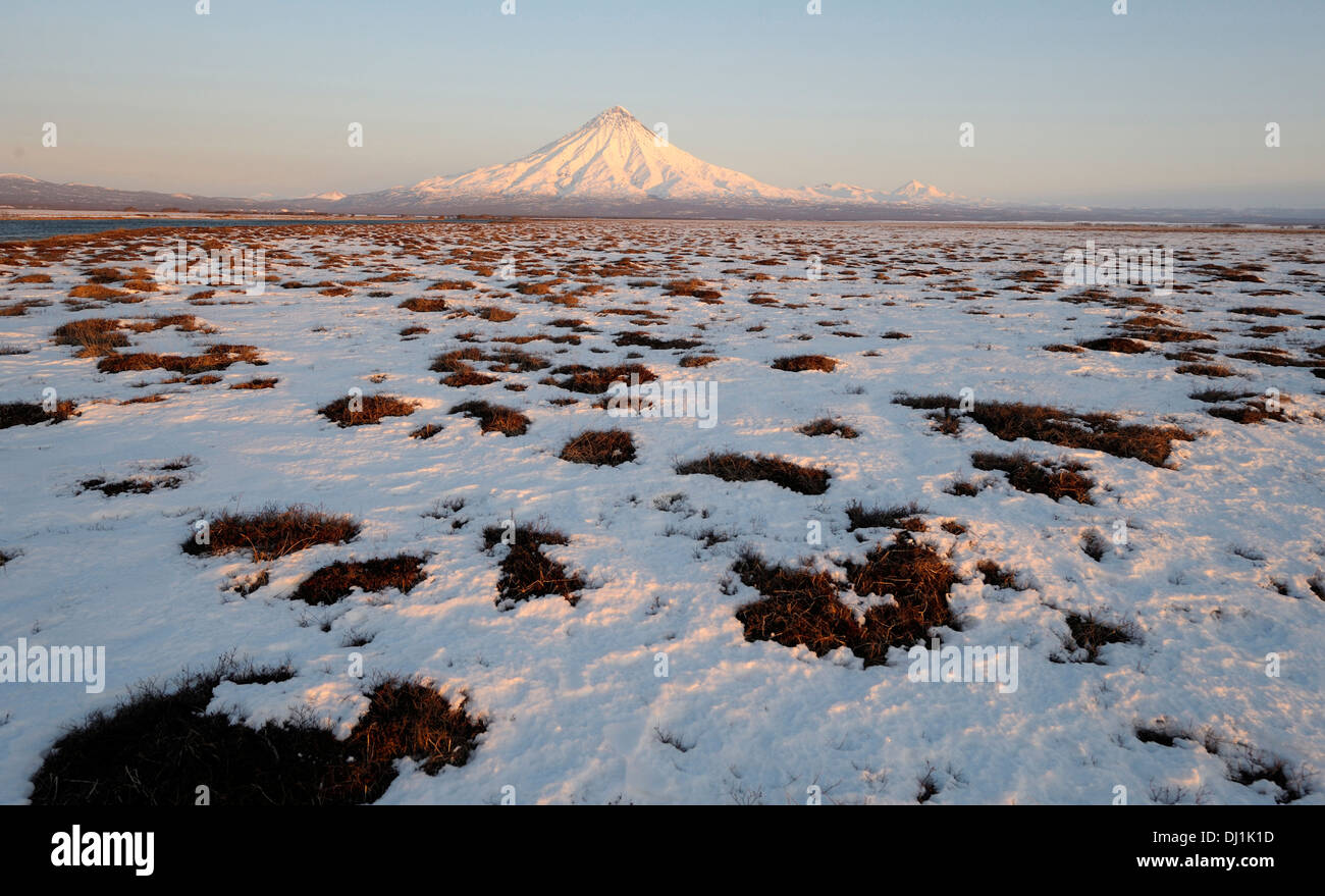 Kronotskaya Vulkan eine Tundra mit Schnee bedeckt. Kronotsky Zapovednik, Kamtschatka, Russland Stockfoto