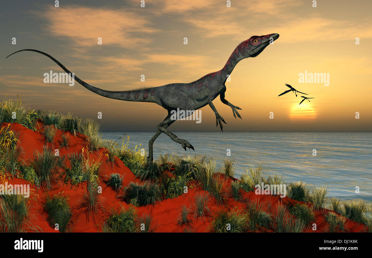 Eine jurassic europäischen Compsognathus. Stockfoto