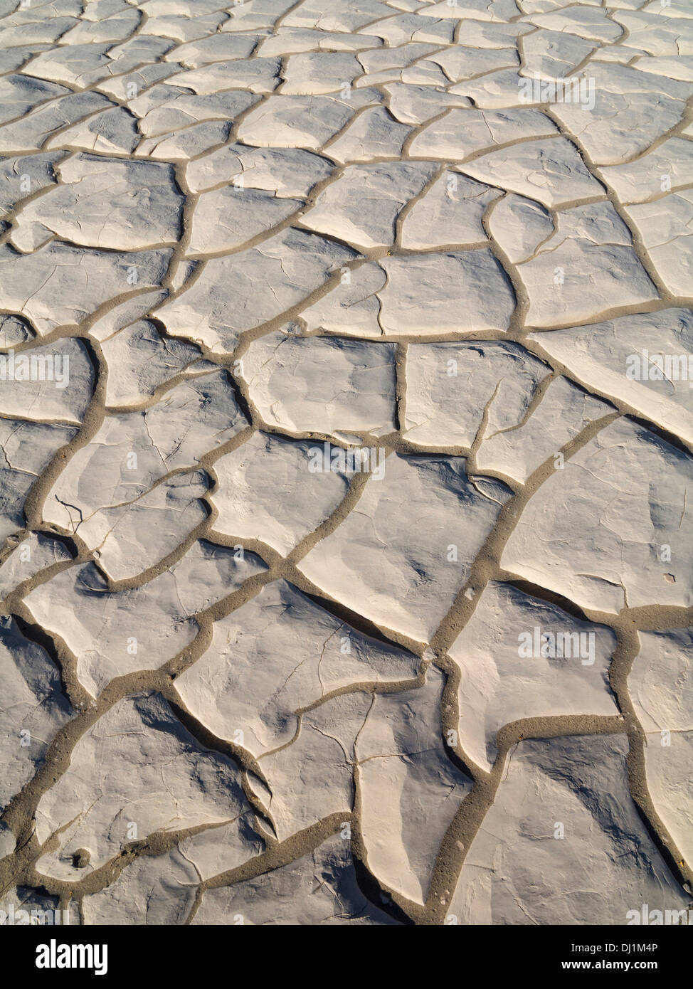 Bauformen in einer trockenen Pfanne in den Mesquite flache Sanddünen im Death Valley. Death Valley Nationalpark, Kalifornien, USA. Stockfoto