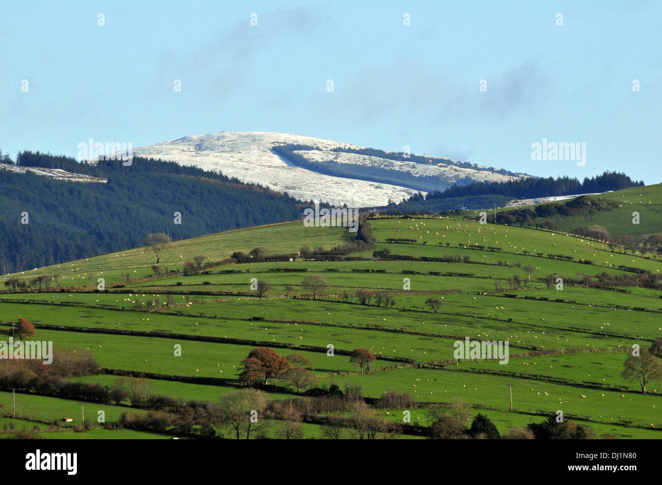 Aberystwyth, Wales, UK. 19. November 2013. Kalte Nordwinden bringen frühen Schnee in den Cambrian Mountains in der Nähe von Aberystwyth, Wales, UK - 19. November 2013. Bildnachweis: John Gilbey Stockfoto