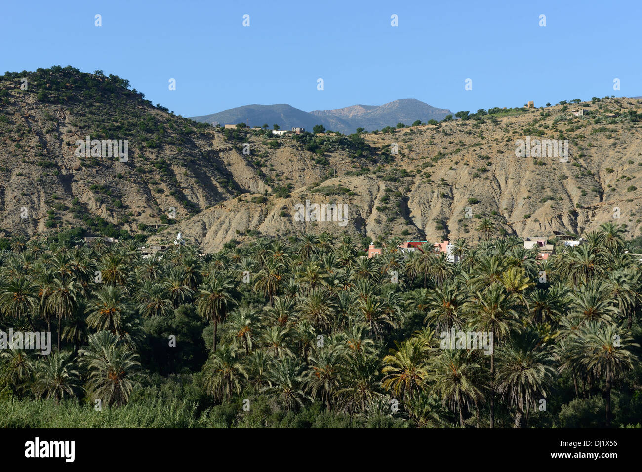 Marokko, Umgebung von Agadir, Paradise Valley Stockfoto