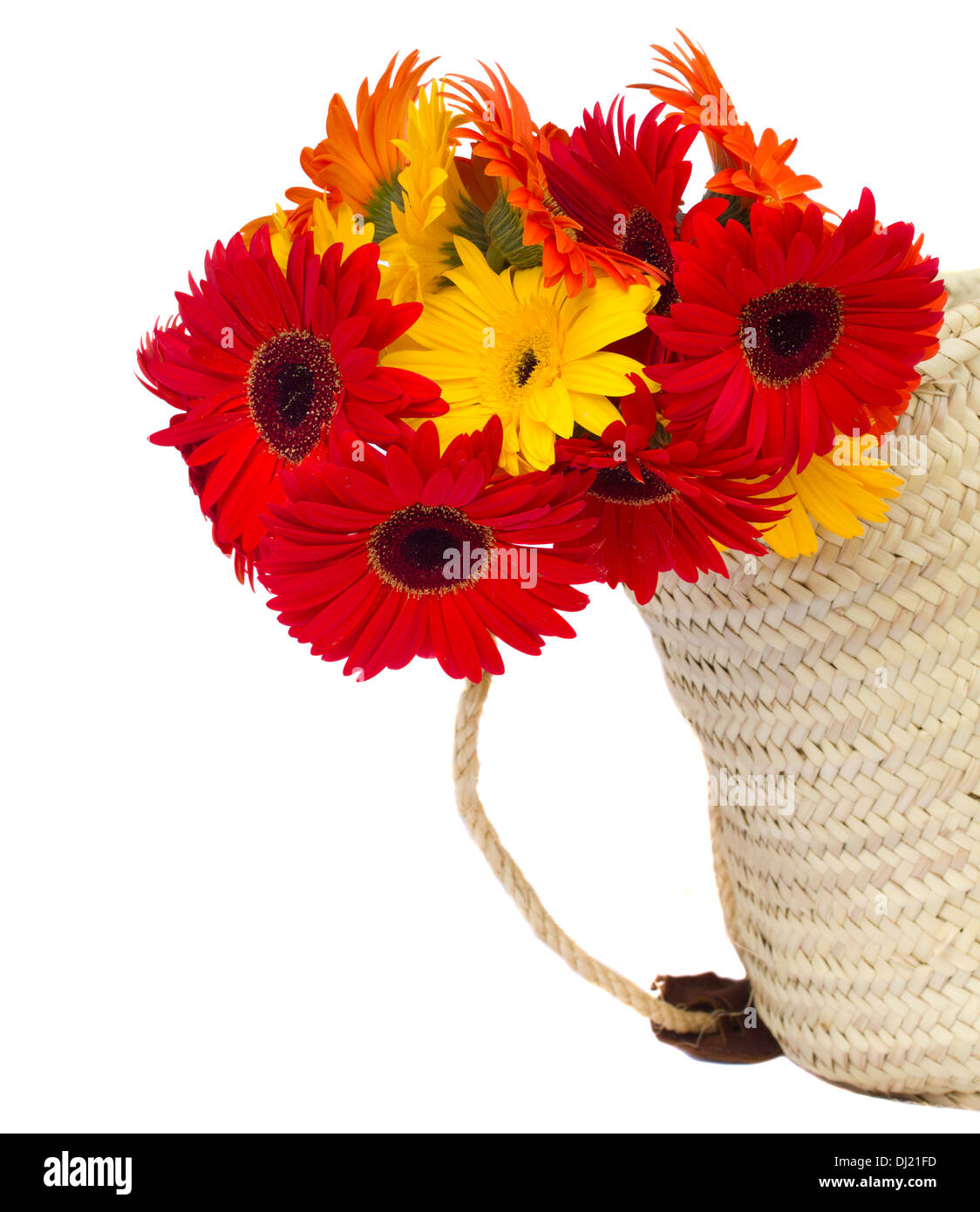 Gerbera Blumen im Korb Stockfoto