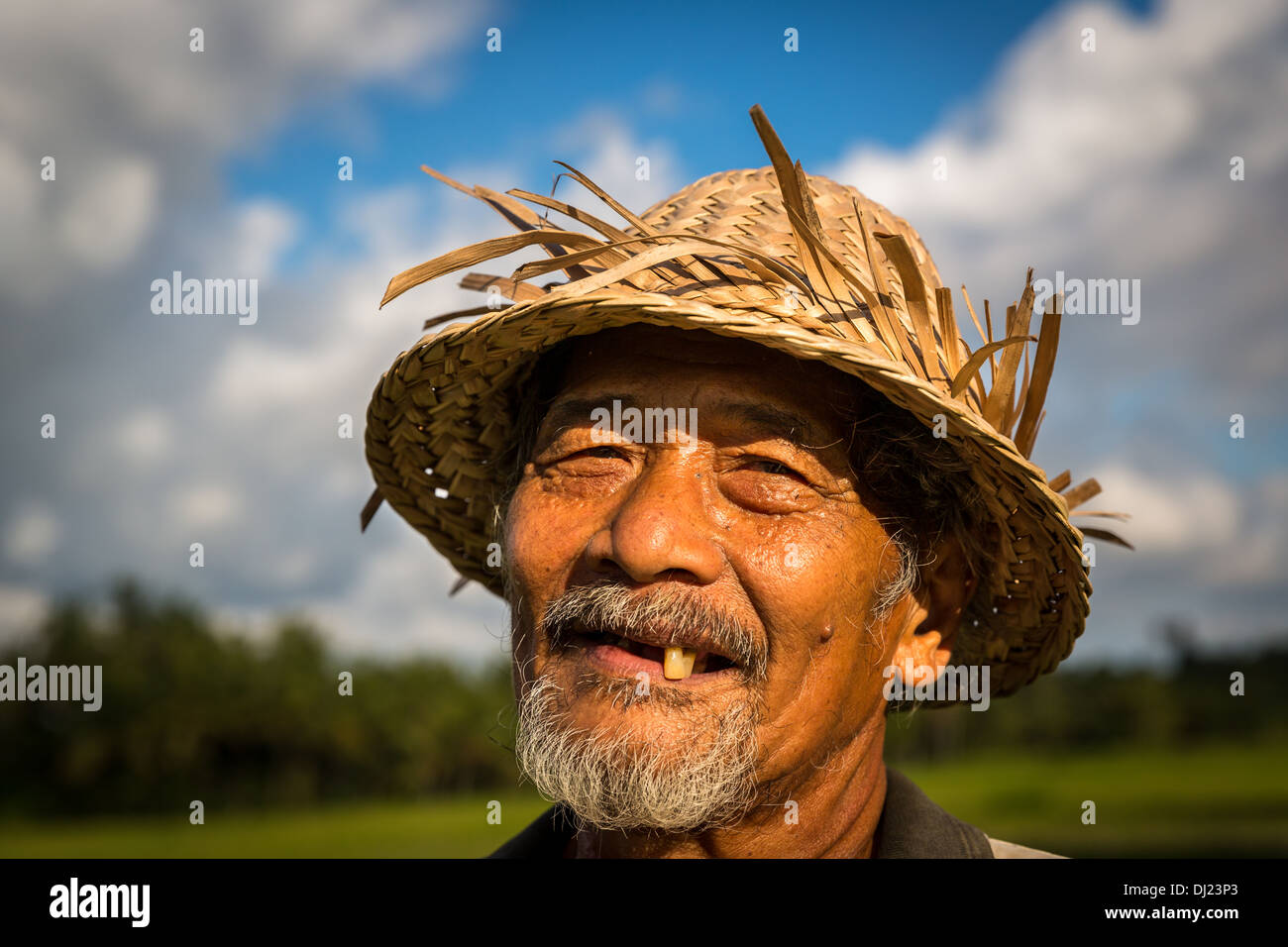 Portrais der älteren Reisbauer, Ubud, Bali, Indonesien Stockfoto