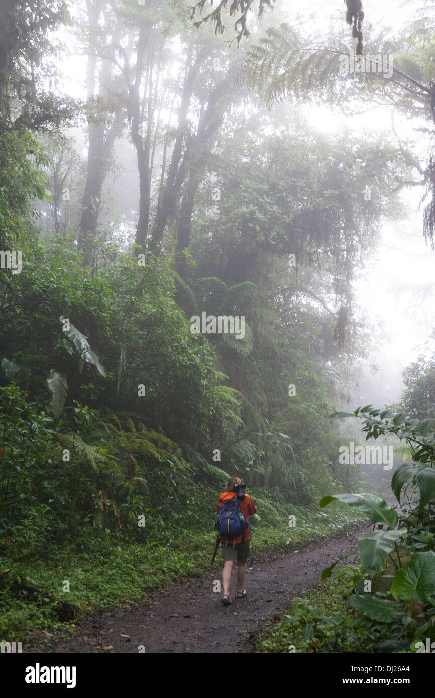 Eine Frau, ein Spaziergang durch die Monteverde Nebelwald Reservat in Costa Rica. Stockfoto