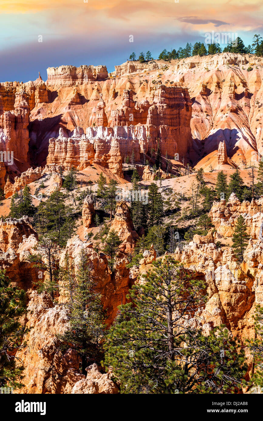 spektakuläre Hoodoo Felsspitzen des Bryce Canyon, Utah, USA Stockfoto
