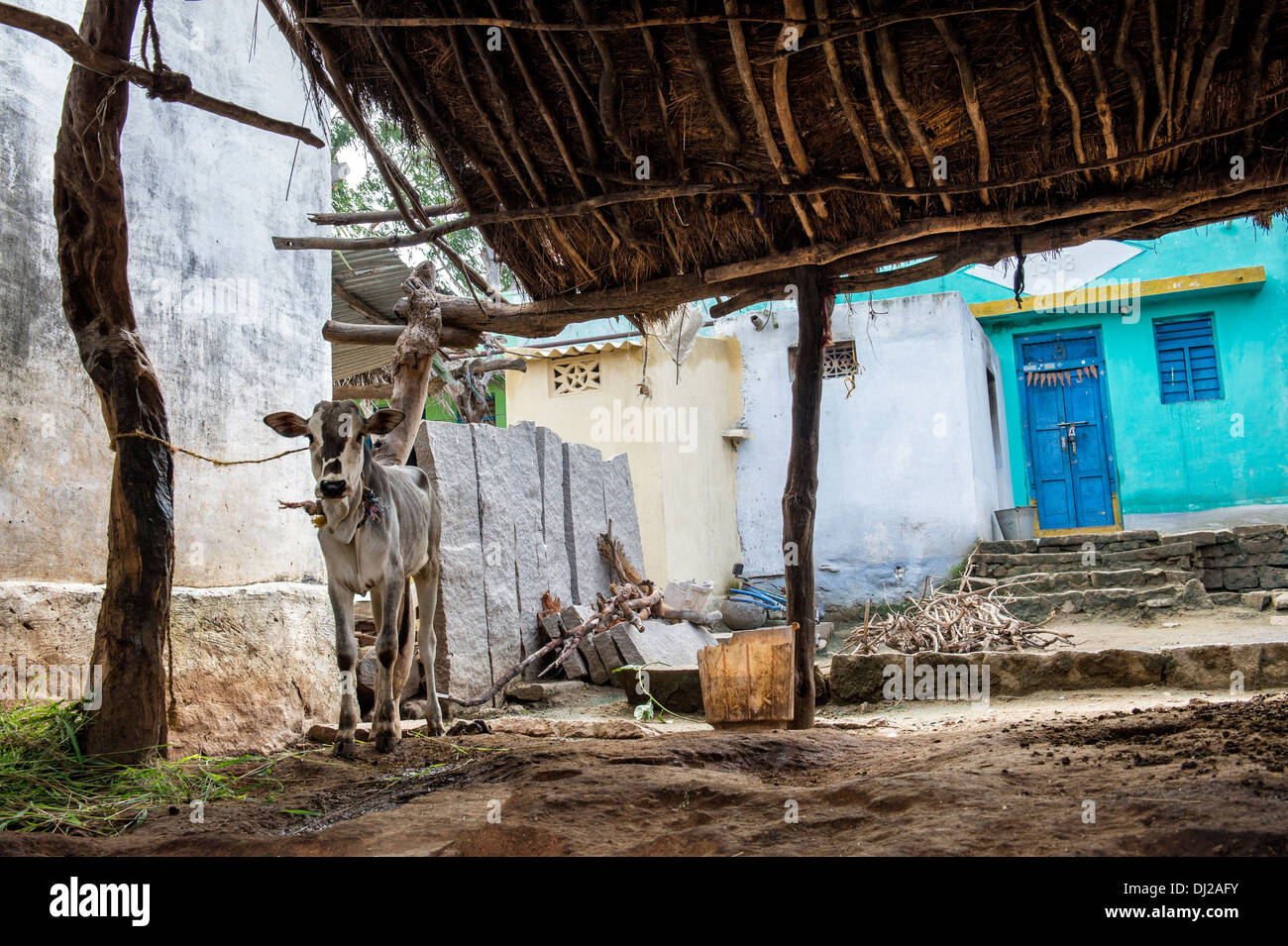 schlanke ToRural südindischen Dorf. Andhra Pradesh, Indien Stockfoto