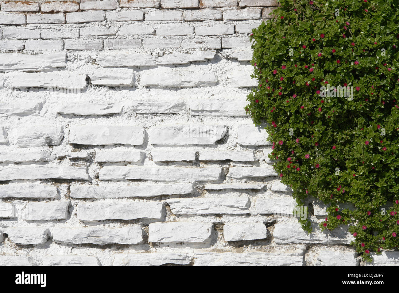 Weißen Steinmauer Stockfoto