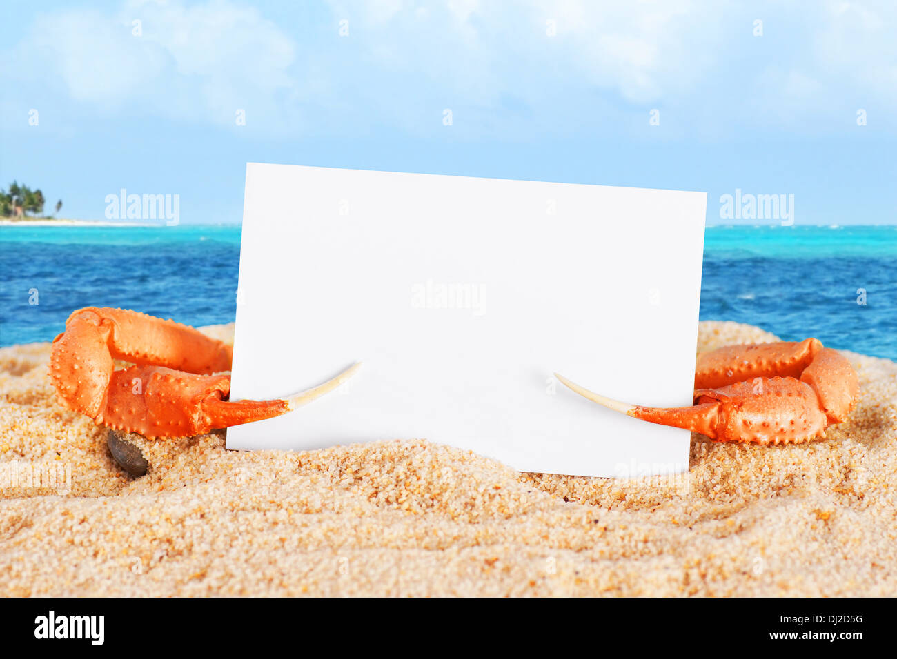 Spaß Urlaub oder Ferien Konzept, C Rab Krallen halten leere Visitenkarte am Strand Stockfoto