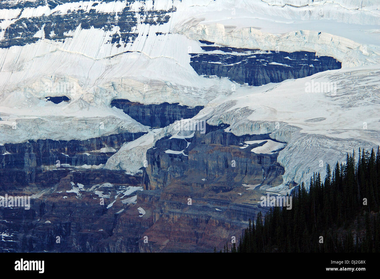 Eisfeld Lake Louise, kanadischen Rocky Mountains, Alberta, Kanada Stockfoto