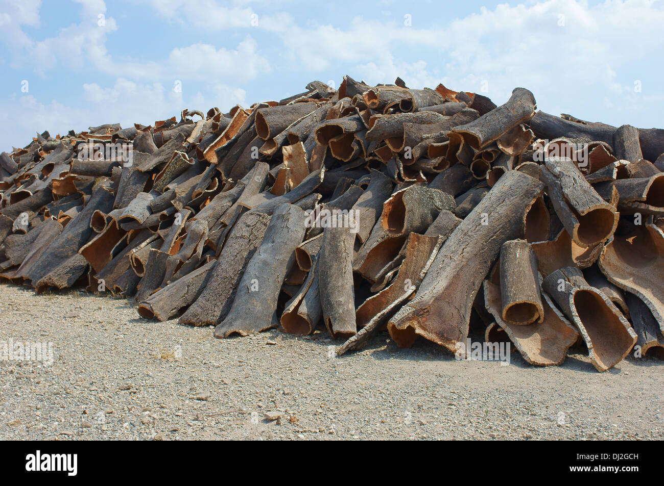Rinde der Korkeiche Algerve Portugal Quercus Suber gestapelt Stockfoto