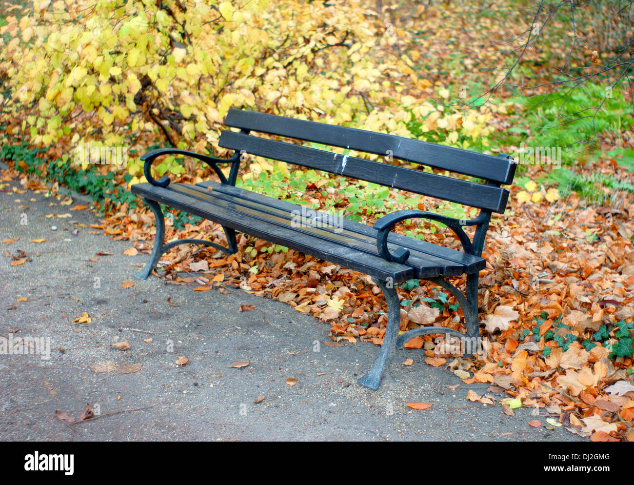 Einsam im Herbst Park Bench Empiness Einsamkeit Nostalgie nostalgisch Stockfoto