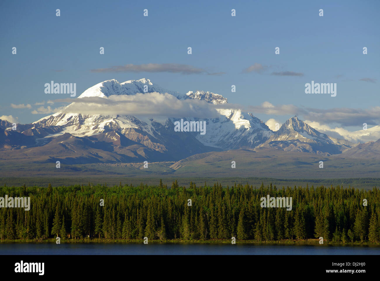 Wrangell St. Elias NP. Stockfoto
