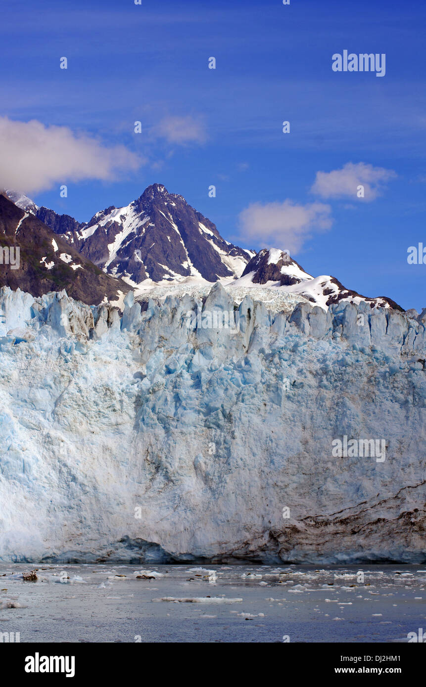 Maeres Gletscher mit Dichtungen Stockfoto