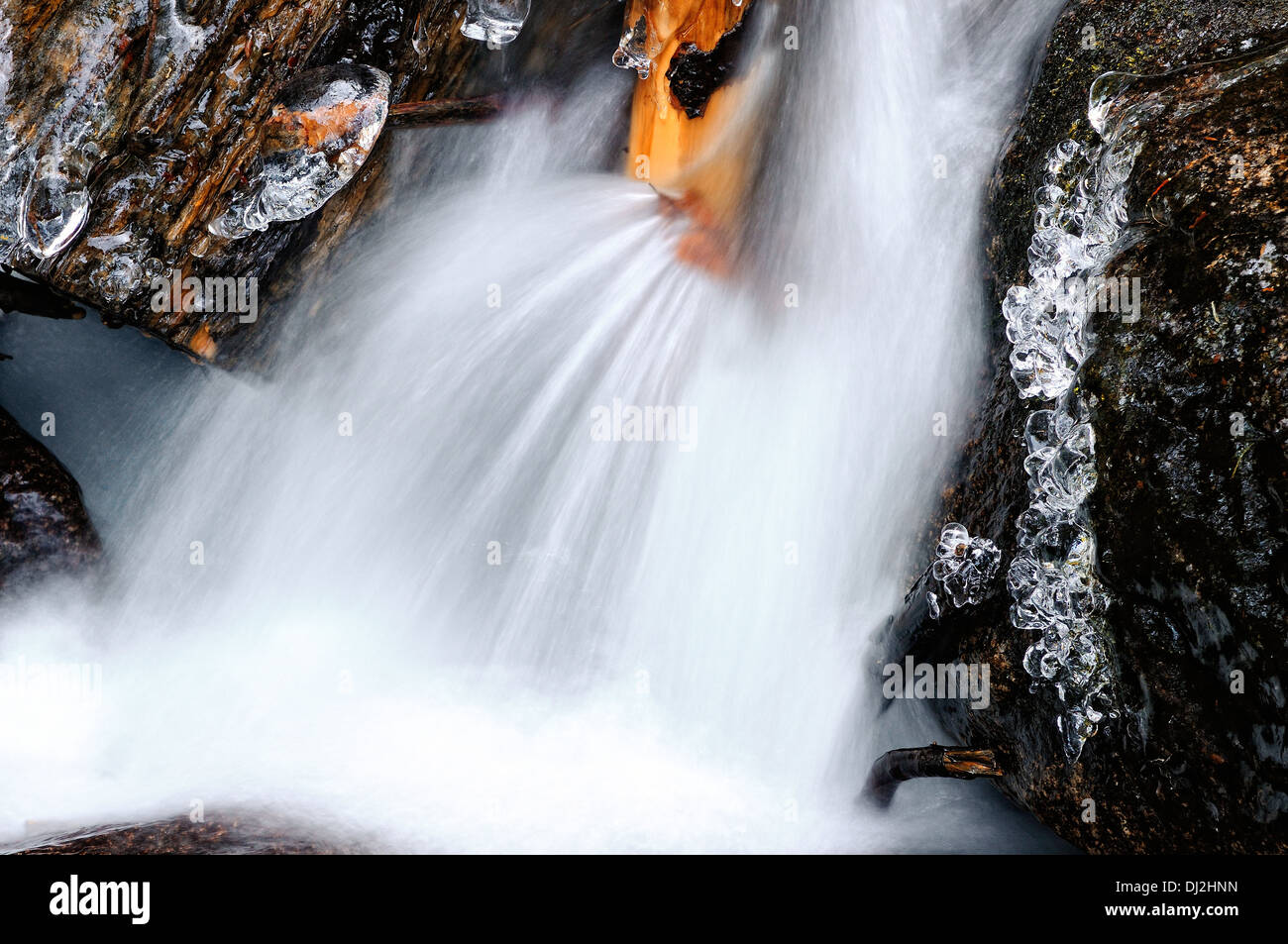 in kaltem Wasser Stockfoto