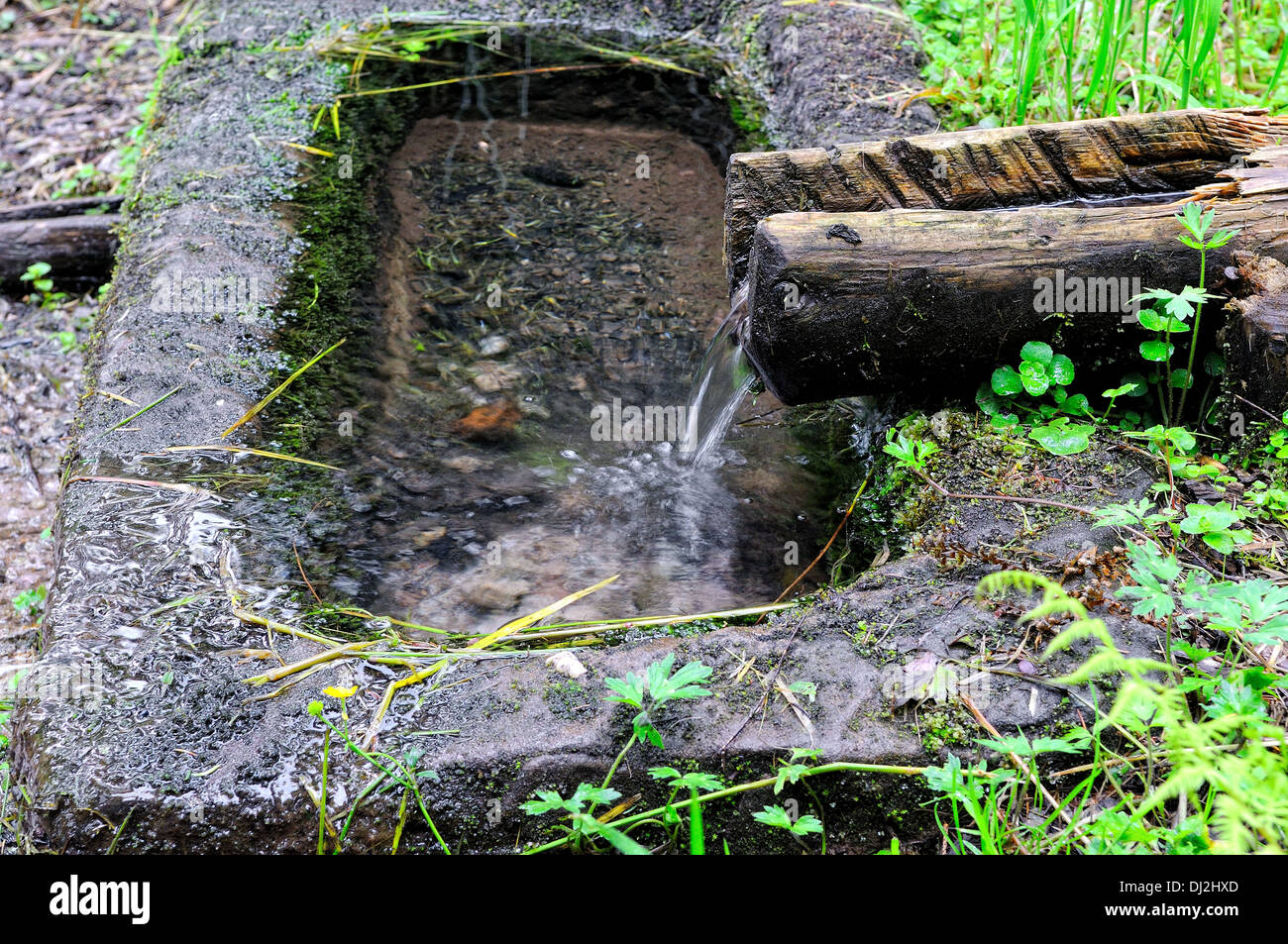 Wasser-Brunnen Stockfoto