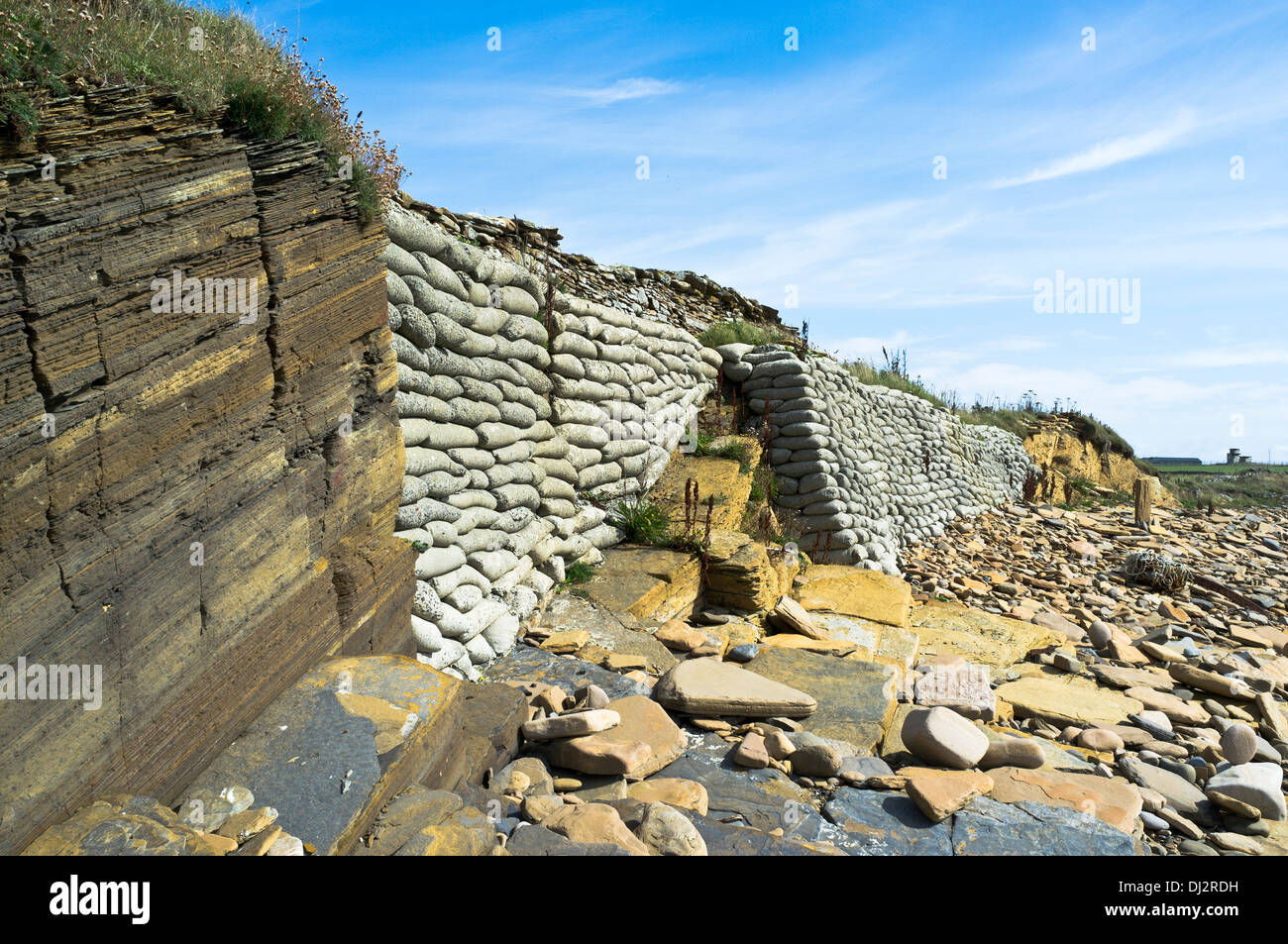 Dh KÜSTENEROSION UK erodierten Klippe Reparatur Küstenerosion Verteidigung Stockfoto