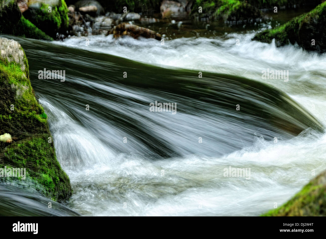 im Fluss Stockfoto
