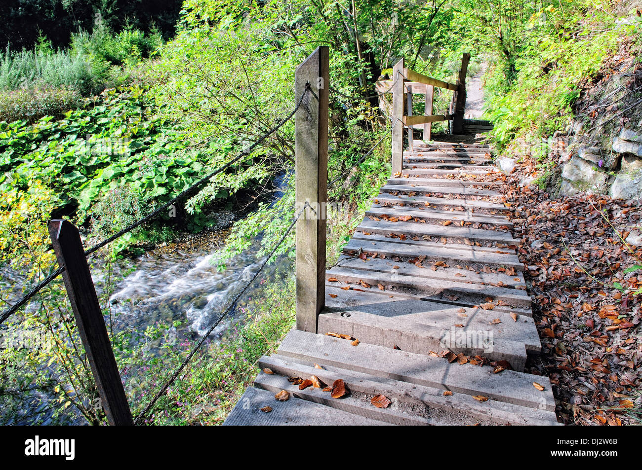 Fußgängerbrücke in der Schwarzwald-Deutschland Stockfoto