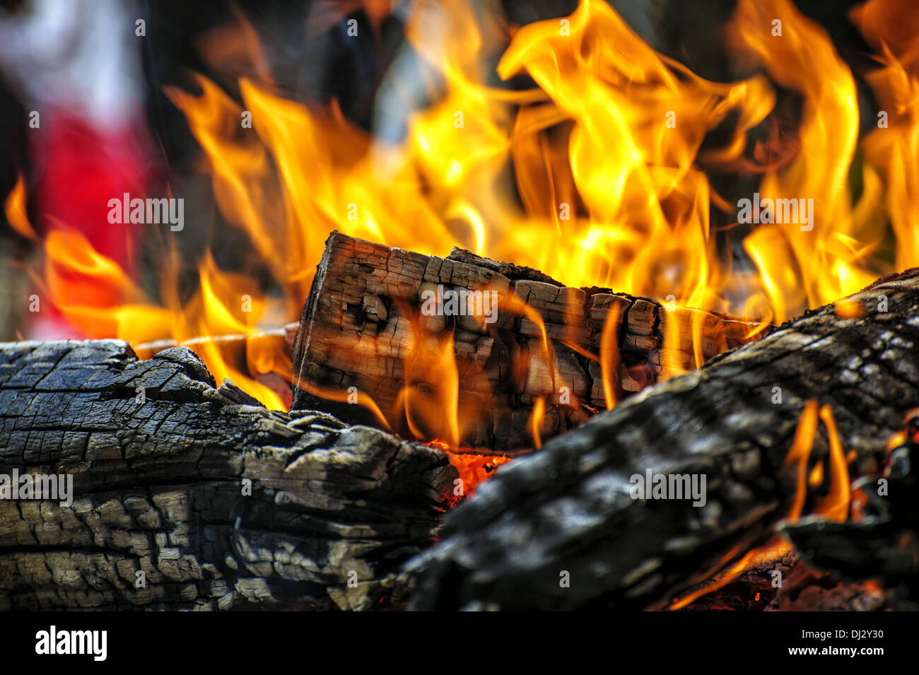 brennende Holzkohle auf dem grill Stockfoto