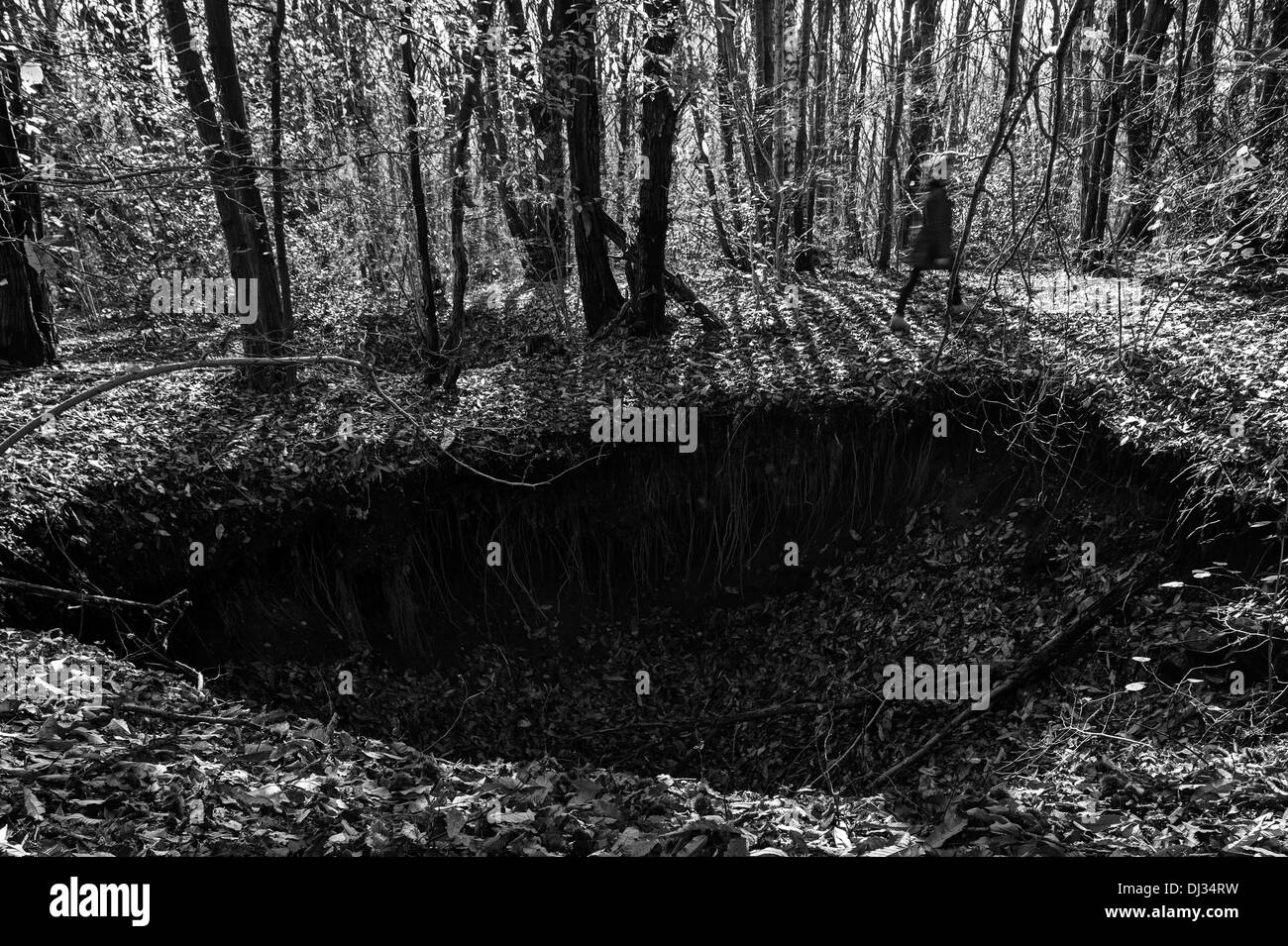 Italien. Großes Loch in einem Wald Stockfoto