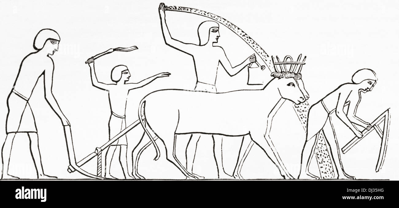 Pflügen, hacken und Aussaat mit Tieren im alten Ägypten. Stockfoto