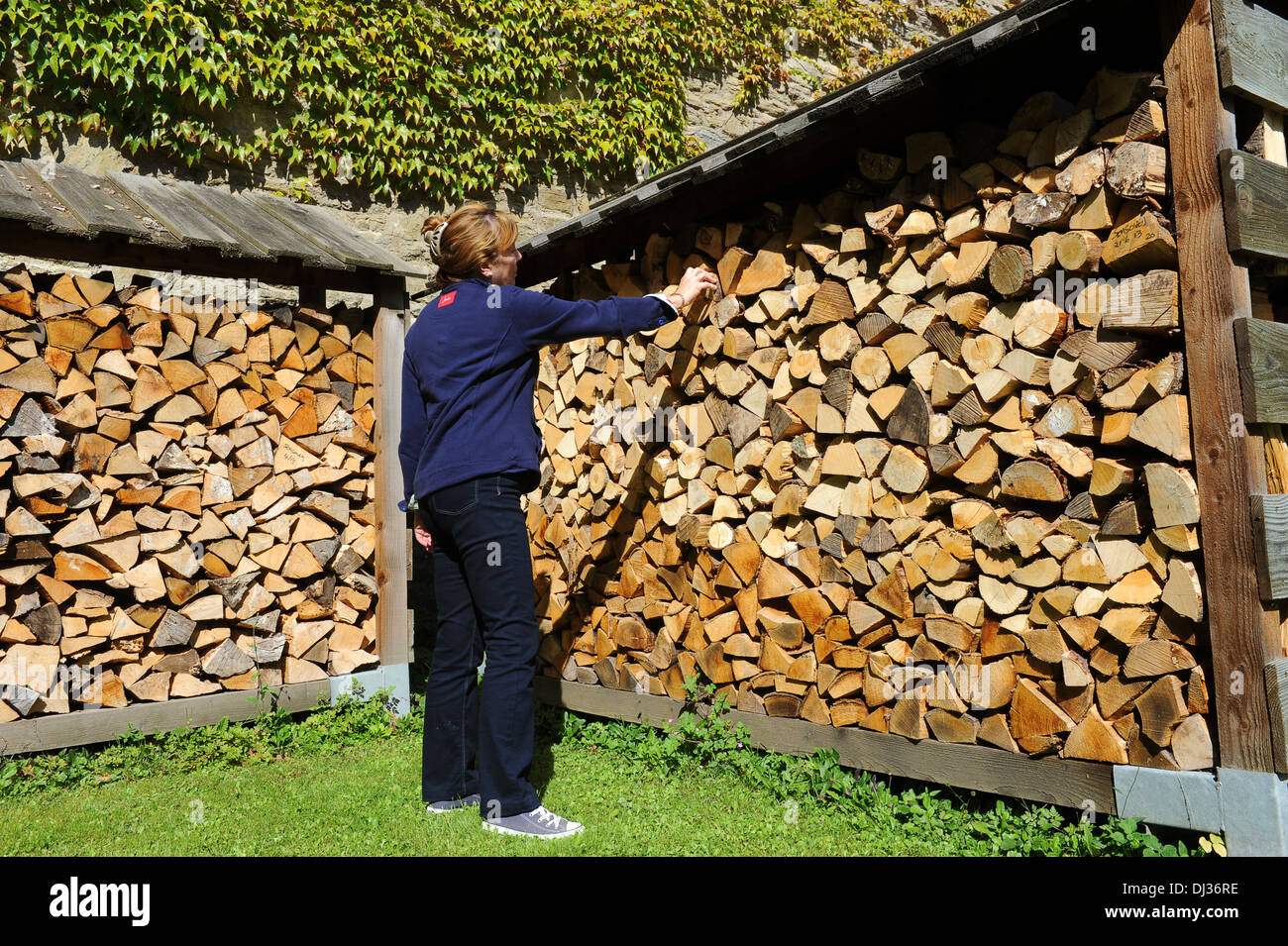 Holzscheite gestapelt für Winter Protokoll brennen uk Stockfoto