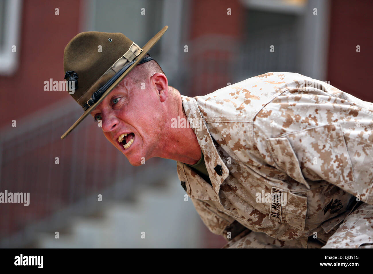 Ein US Marine Corps Drill Instructor schreit an neuen Rekruten während einer Incentive Trainingseinheit 30. Oktober 2013 auf Parris Island, SC Stockfoto