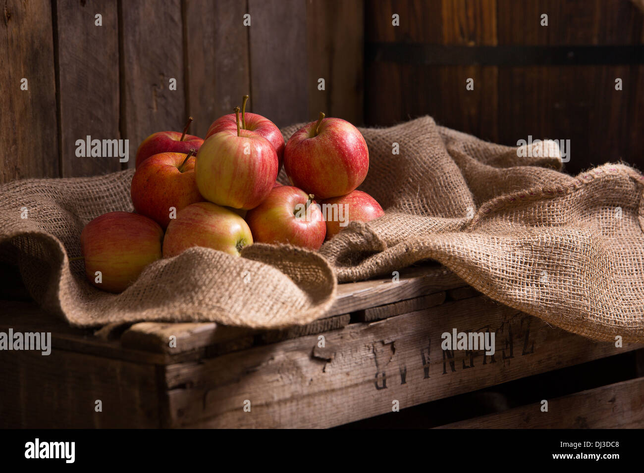 Britische saisonale Äpfel auf hessischen Sack und eine alte 1969 Apfel-Kiste. Stockfoto