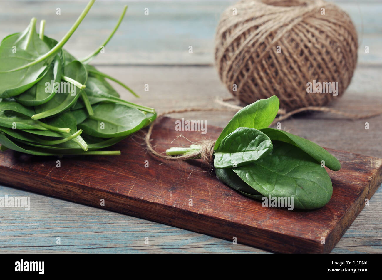 Spinat Pflanzen Stockfotos und bilder Kaufen Alamy
