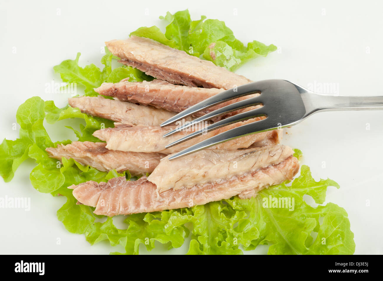 Makrelen Filets auf einem weißen Teller Stockfoto
