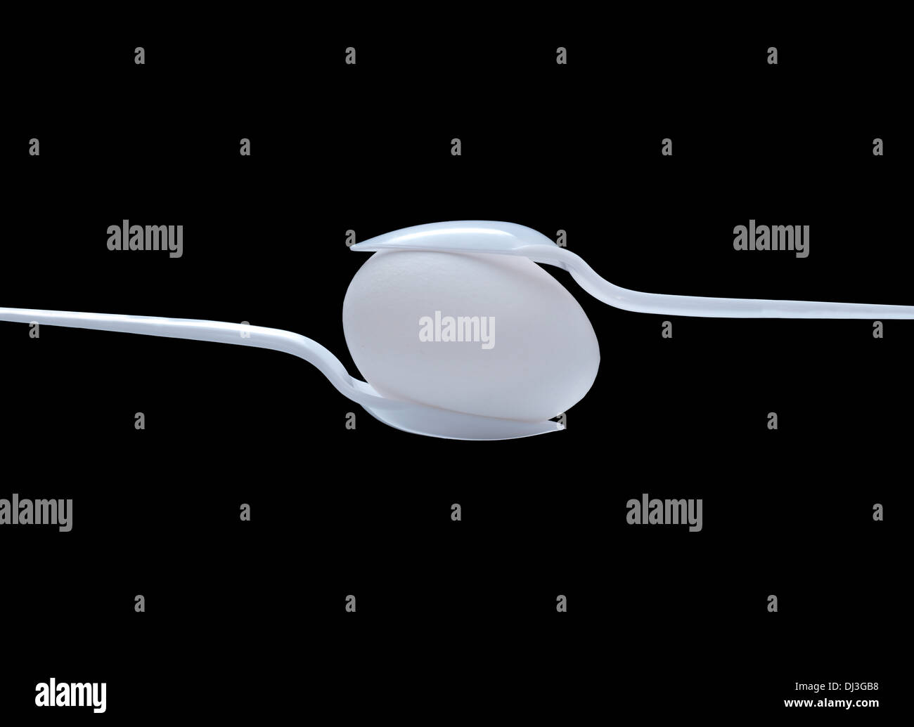 Abstraktes Bild von zwei weißen Löffel hält eine weiße Hühner-Ei. Vor schwarz fotografiert. Stockfoto