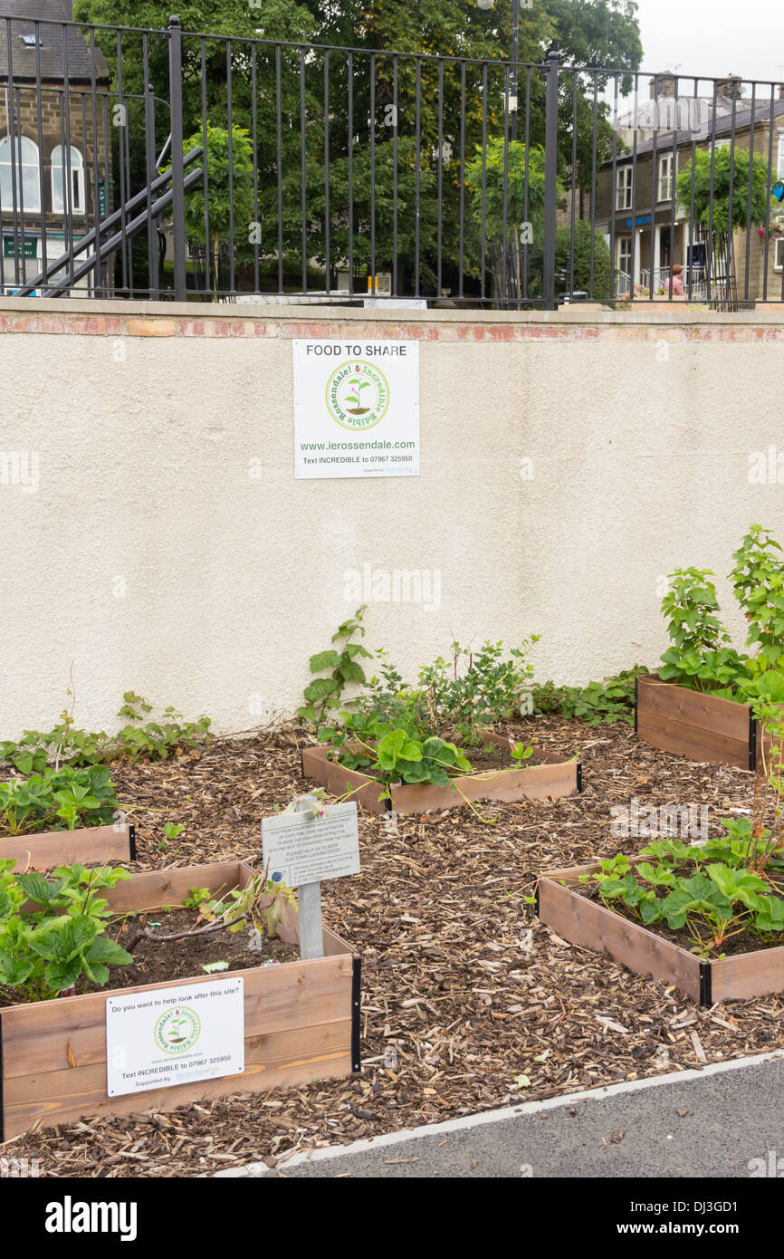 Essen zu teilen, einen Gemeinschaft Gemüsegarten von unglaublichen essbare Rossendale in öffentlichen Zentrum Stadtgebiet, Rawtenstall, Lancashire. Stockfoto