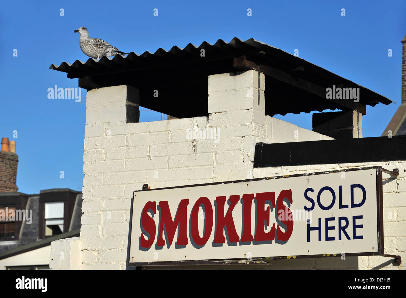 Arbroath Smokies Zeichen in einer Räucherei mit einer Möwe thront auf dem Dach Stockfoto