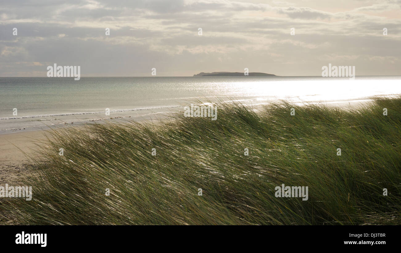 Strand von Kilmore Blickrichtung Saltee Inseln, County Wexford, Irland Stockfoto